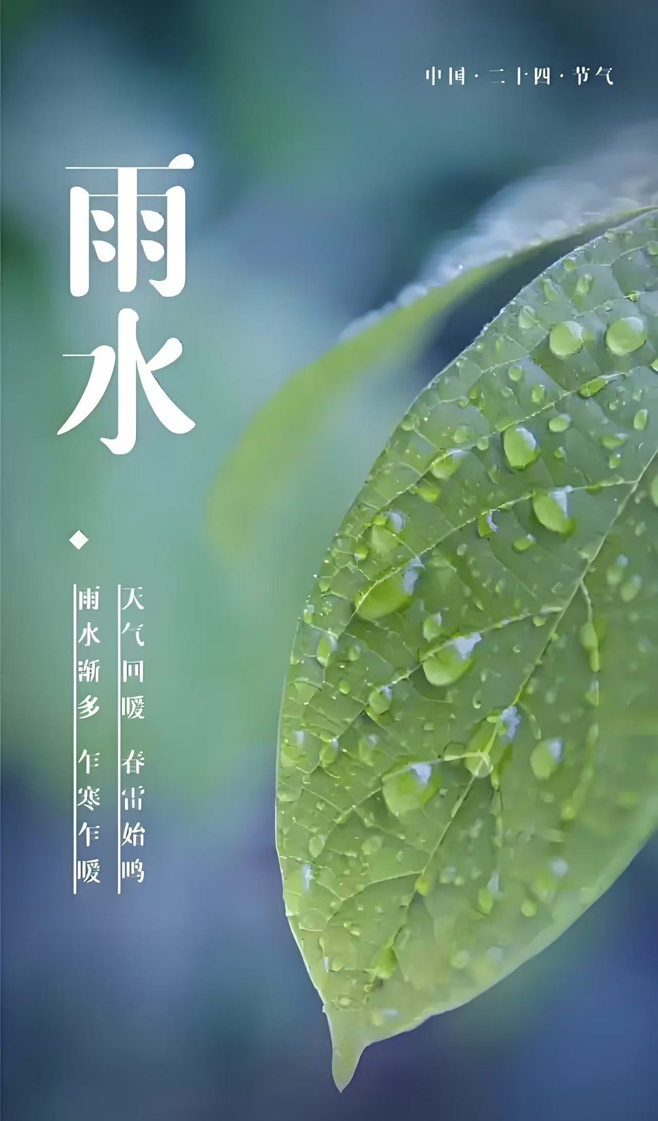 今日雨水 | 好雨知時(shí)節(jié)，當(dāng)春乃發(fā)生